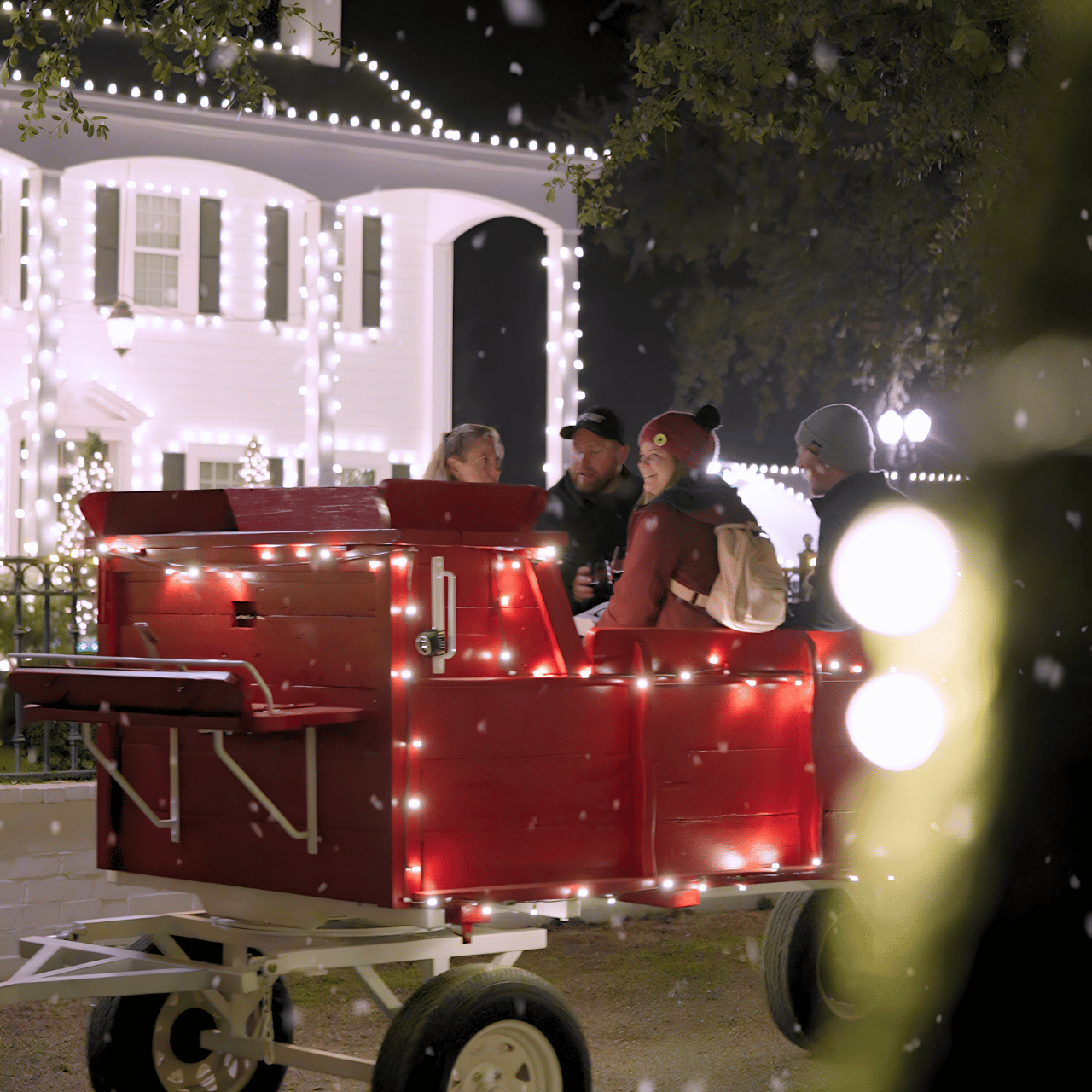Christmas Stroll Sleigh Ride