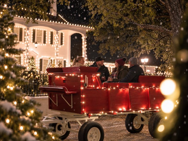 Christmas Stroll-adult nights